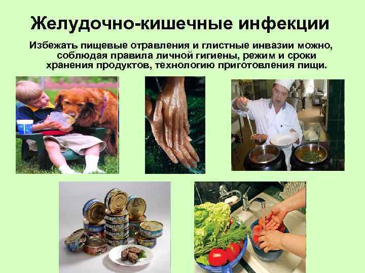 Желудочно-кишечные инфекции Избежать пищевые отравления и глистные инвазии можно, соблюдая правила личной гигиены, режим