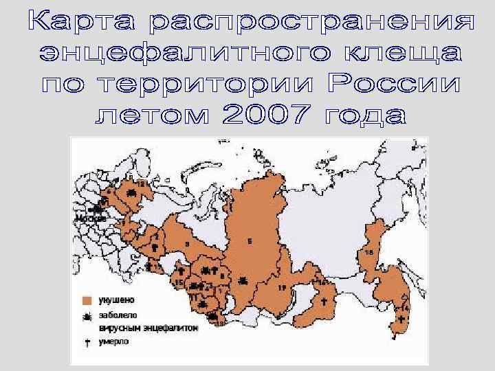 Энцефалитный клещ где обитает в россии карта охвата