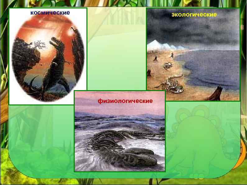 космические экологические физиологические 