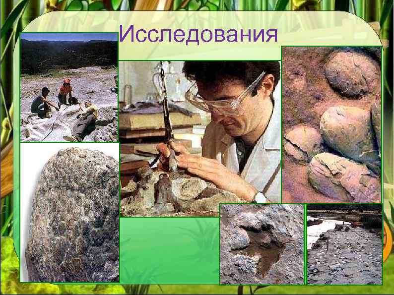 Исследования 