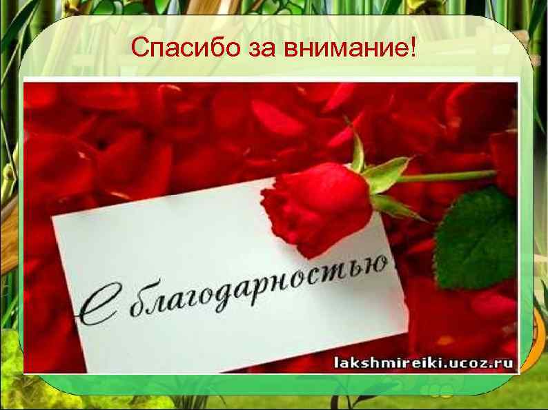 Спасибо за внимание! 