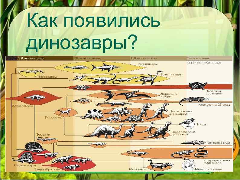 Как появились динозавры? 