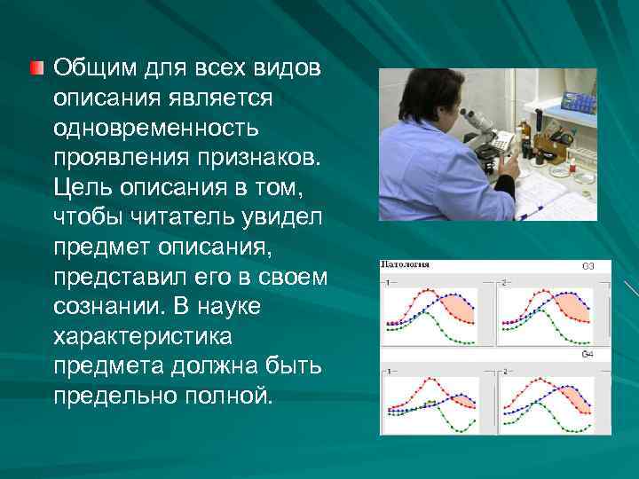 Общим для всех видов описания является одновременность проявления признаков. Цель описания в том, чтобы