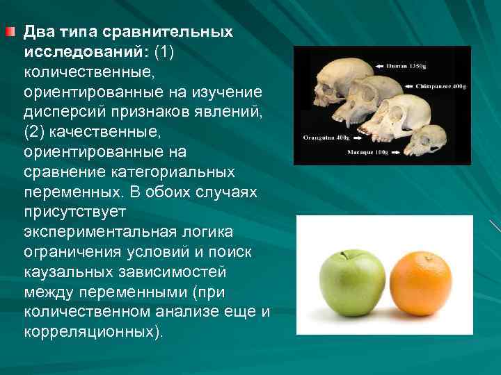 Исследования сравнения. Сравнение как метод исследования примеры. Сравнение метод исследования пример. Пример сравнительного метода исследования. Сравнительный метод в биологии.