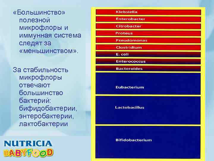  «Большинство» полезной микрофлоры и иммунная система следят за «меньшинством» . За стабильность микрофлоры