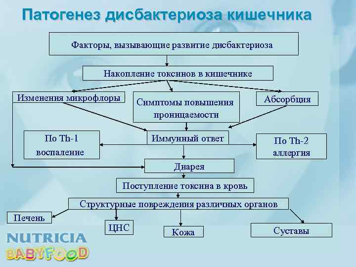 Патогенез дисбактериоза кишечника Факторы, вызывающие развитие дисбактериоза Накопление токсинов в кишечнике Изменения микрофлоры Симптомы