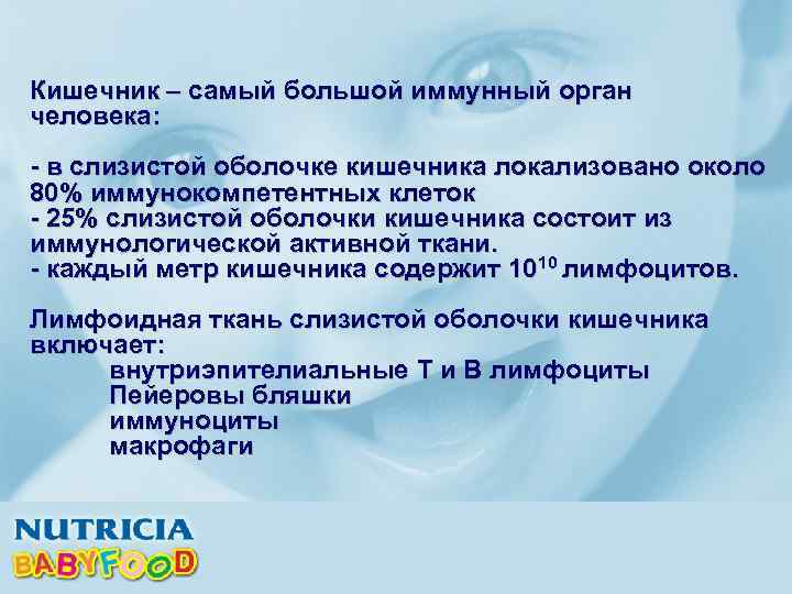 Кишечник – самый большой иммунный орган человека: - в слизистой оболочке кишечника локализовано около