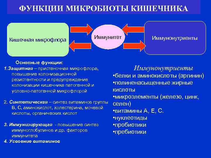 ФУНКЦИИ МИКРОБИОТЫ КИШЕЧНИКА Кишечная микрофлора Иммунитет Основные функции: 1. Защитная – пристеночная микрофлора, повышение