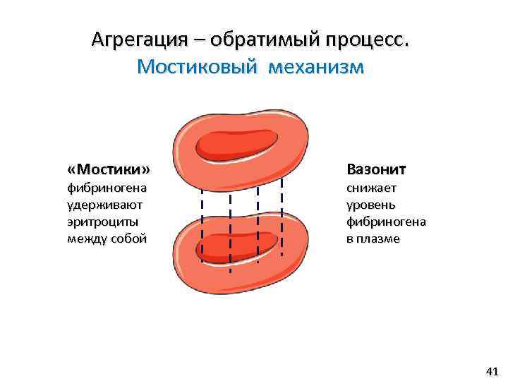 Агрегация – обратимый процесс. Мостиковый механизм «Мостики» фибриногена удерживают эритроциты между собой Вазонит снижает