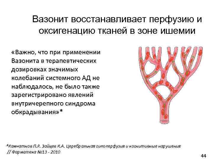 Вазонит восстанавливает перфузию и оксигенацию тканей в зоне ишемии «Важно, что применении Вазонита в