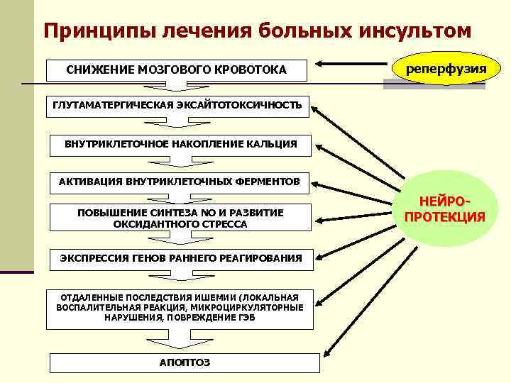 Период принципа