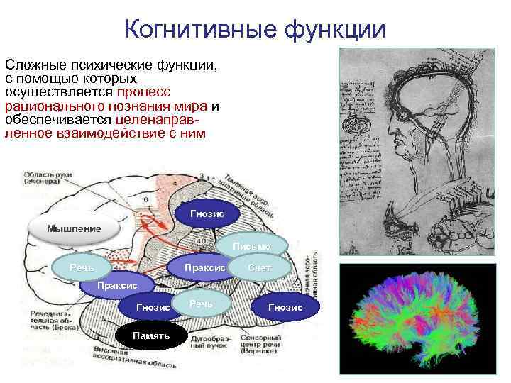 Функции когнитивных схем