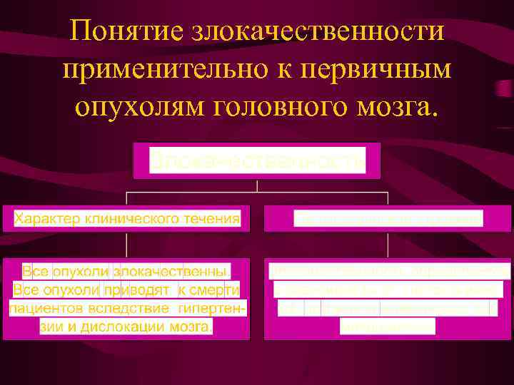 Понятие злокачественности применительно к первичным опухолям головного мозга. 