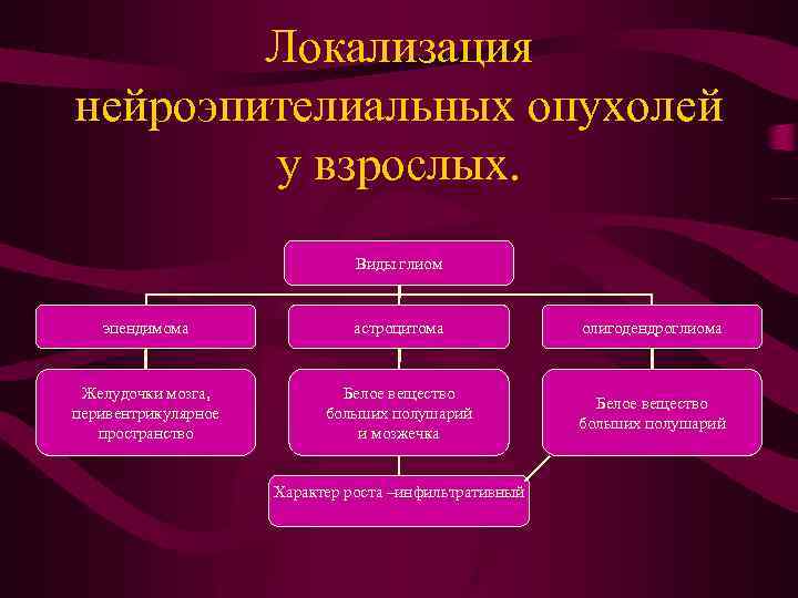 Локализация нейроэпителиальных опухолей у взрослых. Виды глиом эпендимома астроцитома олигодендроглиома Желудочки мозга, перивентрикулярное пространство