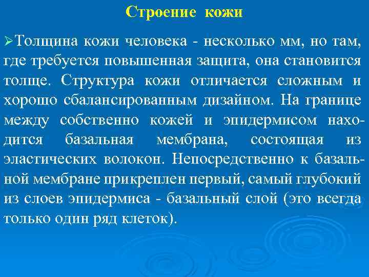 Строение кожи ØТолщина кожи человека - несколько мм, но там, где требуется повышенная защита,