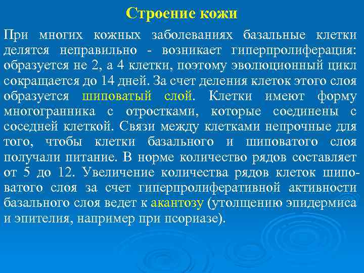 Строение кожи При многих кожных заболеваниях базальные клетки делятся неправильно - возникает гиперпролиферация: образуется