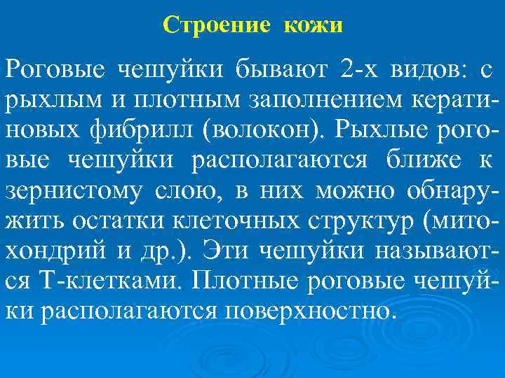 Строение кожи Роговые чешуйки бывают 2 -х видов: с рыхлым и плотным заполнением кератиновых