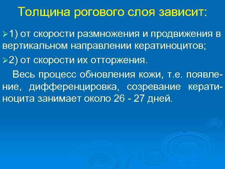 Толщина рогового слоя зависит: Ø 1) от скорости размножения и продвижения в вертикальном направлении