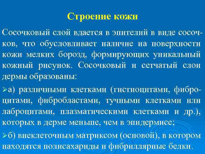 Строение кожи Сосочковый слой вдается в эпителий в виде сосочков, что обусловливает наличие на