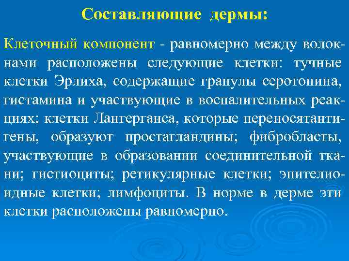 Составляющие дермы: Клеточный компонент - равномерно между волокнами расположены следующие клетки: тучные клетки Эрлиха,