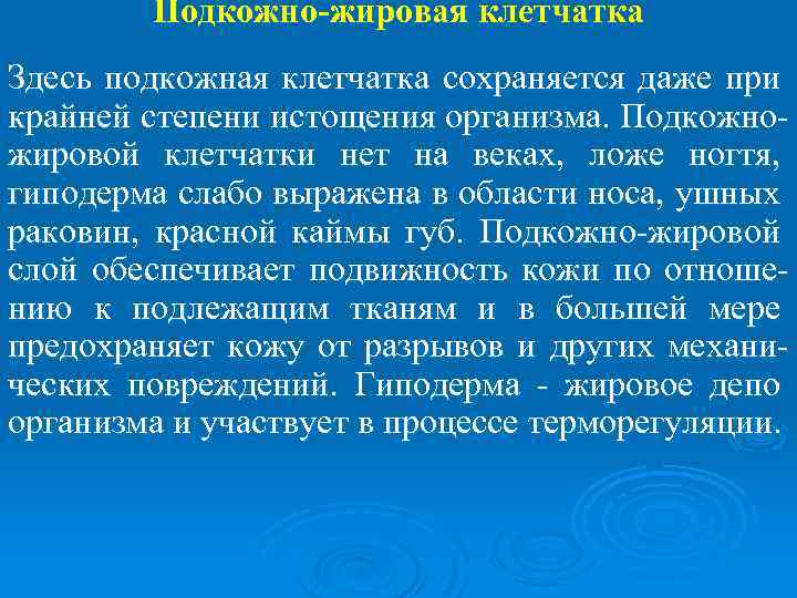 Подкожно-жировая клетчатка Здесь подкожная клетчатка сохраняется даже при крайней степени истощения организма. Подкожножировой клетчатки