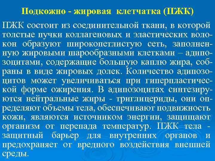 Подкожно - жировая клетчатка (ПЖК) ПЖК состоит из соединительной ткани, в которой толстые пучки