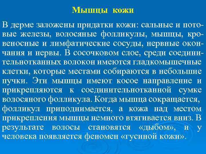 Мышцы кожи В дерме заложены придатки кожи: сальные и потовые железы, волосяные фолликулы, мышцы,