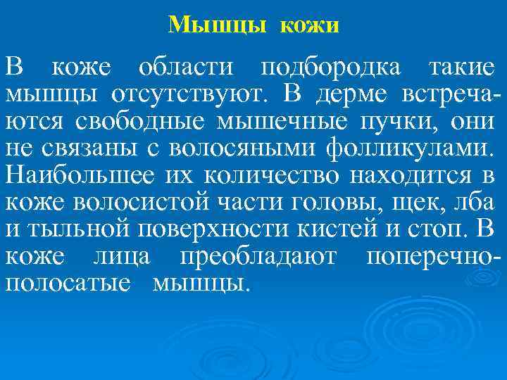 Мышцы кожи В коже области подбородка такие мышцы отсутствуют. В дерме встречаются свободные мышечные