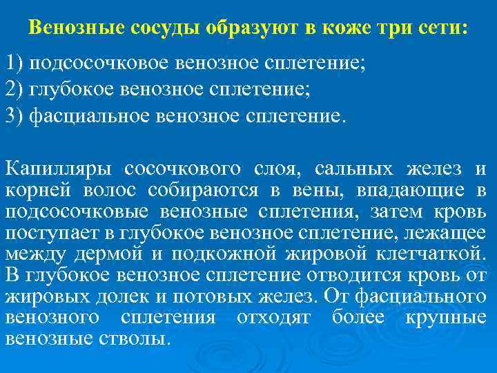 Венозные сосуды образуют в коже три сети: 1) подсосочковое венозное сплетение; 2) глубокое венозное