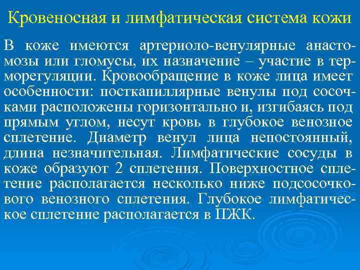 Кровеносная и лимфатическая система кожи В коже имеются артериоло-венулярные анастомозы или гломусы, их назначение