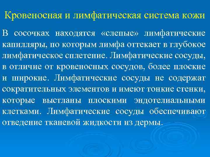 Кровеносная и лимфатическая система кожи В сосочках находятся «слепые» лимфатические капилляры, по которым лимфа