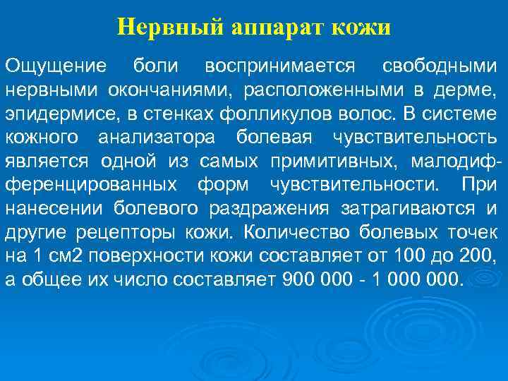 Нервный аппарат кожи Ощущение боли воспринимается свободными нервными окончаниями, расположенными в дерме, эпидермисе, в