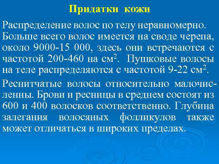 Придатки кожи Распределение волос по телу неравномерно. Больше всего волос имеется на своде черепа,