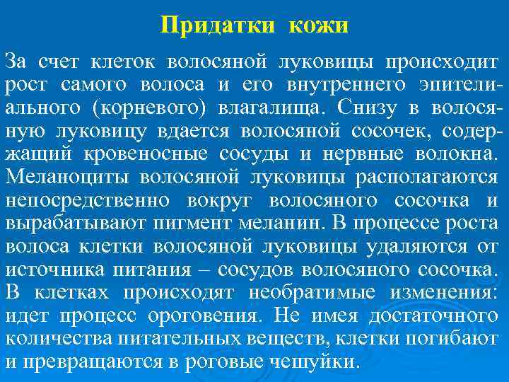 Придатки кожи За счет клеток волосяной луковицы происходит рост самого волоса и его внутреннего