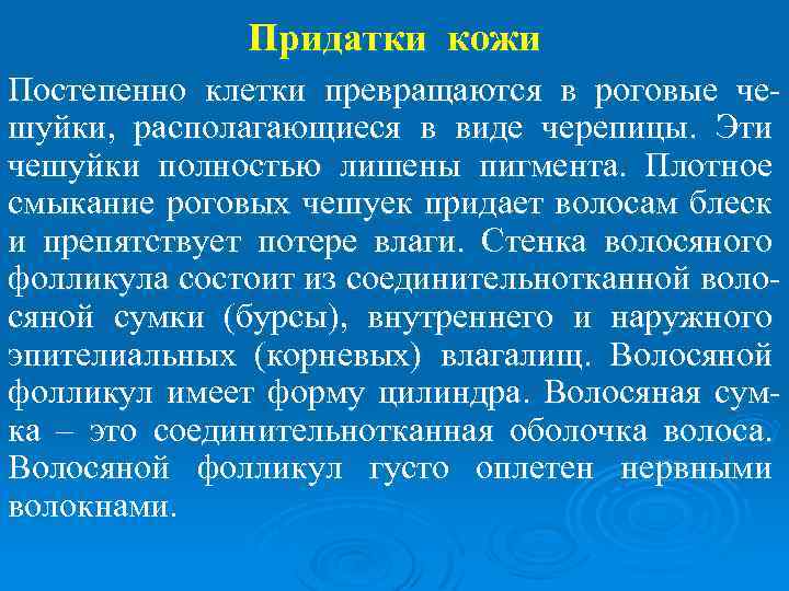 Придатки кожи Постепенно клетки превращаются в роговые чешуйки, располагающиеся в виде черепицы. Эти чешуйки