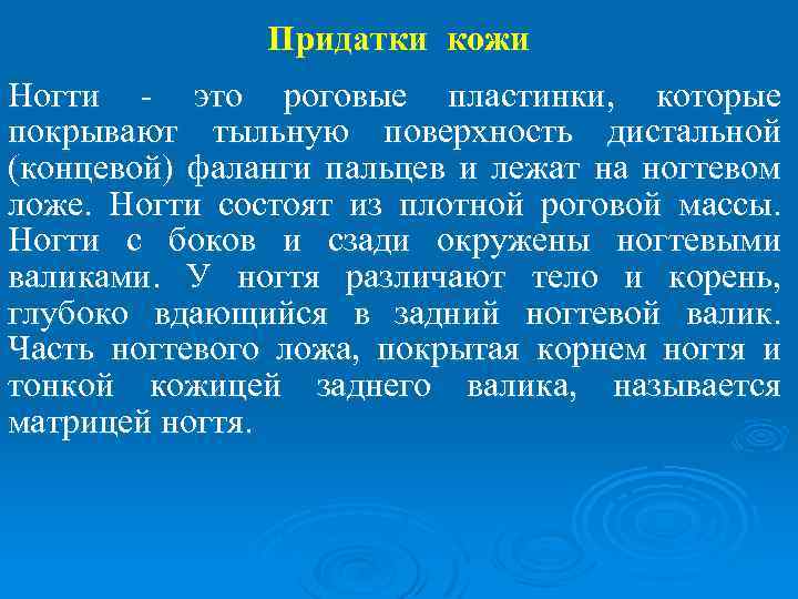 Придатки кожи Ногти - это роговые пластинки, которые покрывают тыльную поверхность дистальной (концевой) фаланги