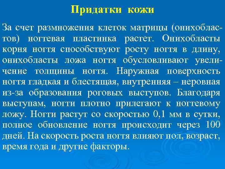 Придатки кожи За счет размножения клеток матрицы (онихобластов) ногтевая пластинка растет. Онихобласты корня ногтя