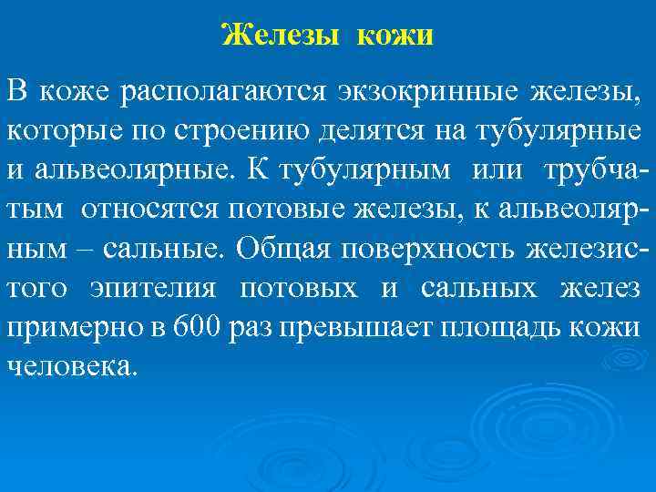 Железы кожи В коже располагаются экзокринные железы, которые по строению делятся на тубулярные и
