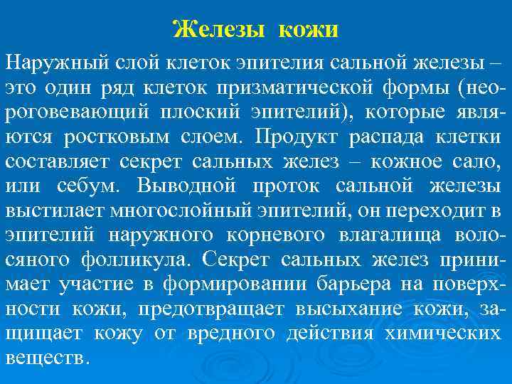 Железы кожи Наружный слой клеток эпителия сальной железы – это один ряд клеток призматической