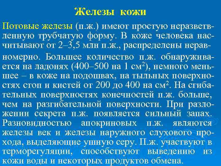 Железы кожи Потовые железы (п. ж. ) имеют простую неразветвленную трубчатую форму. В коже
