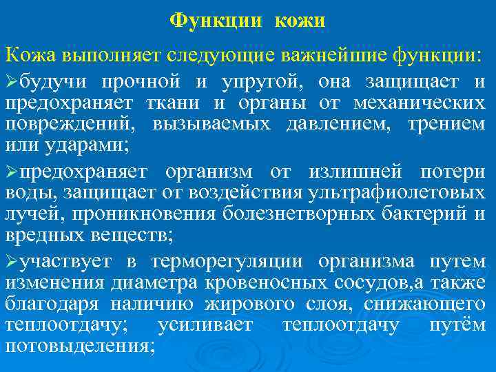 Функции кожи Кожа выполняет следующие важнейшие функции: Øбудучи прочной и упругой, она защищает и
