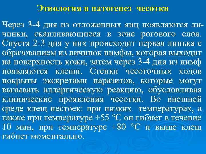 Этиология и патогенез чесотки Через 3 -4 дня из отложенных яиц появляются личинки, скапливающиеся