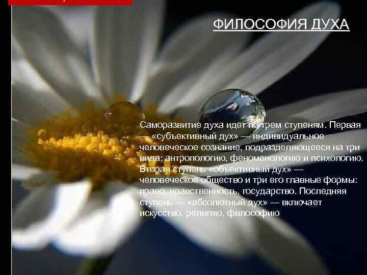 ФИЛОСОФИЯ ДУХА Саморазвитие духа идет по трем ступеням. Первая — «субъективный дух» — индивидуальное