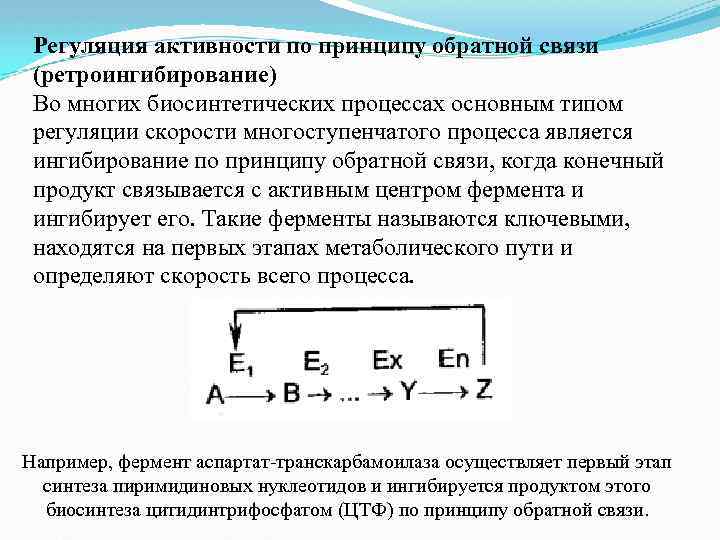 Регуляция активности по принципу обратной связи (ретроингибирование) Во многих биосинтетических процессах основным типом регуляции