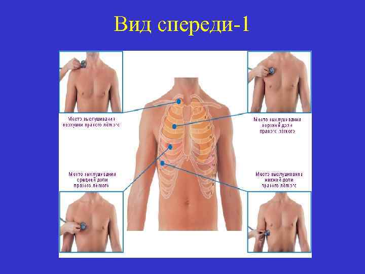 Презентация аускультация легких