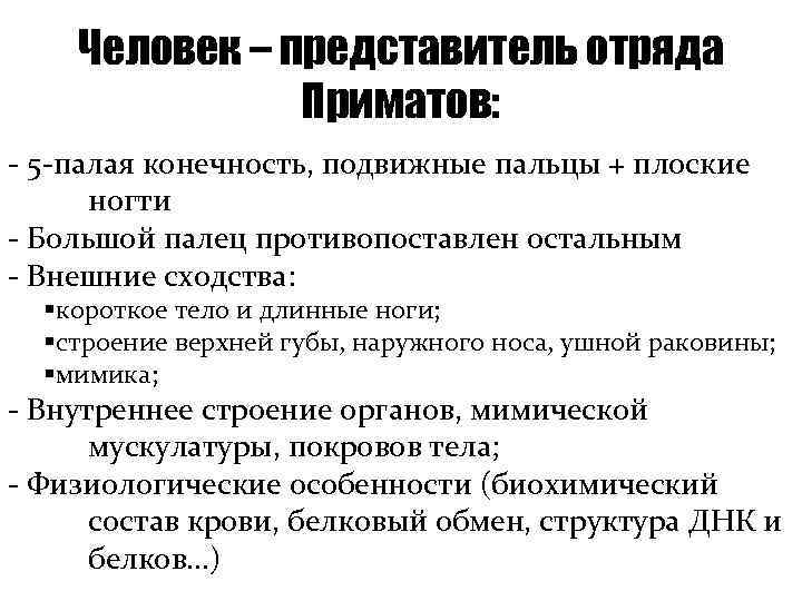 Человек – представитель отряда Приматов: - 5 -палая конечность, подвижные пальцы + плоские ногти