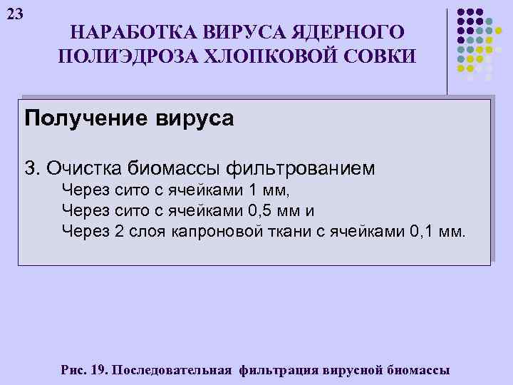 23 НАРАБОТКА ВИРУСА ЯДЕРНОГО ПОЛИЭДРОЗА ХЛОПКОВОЙ СОВКИ Получение вируса 3. Очистка биомассы фильтрованием Через