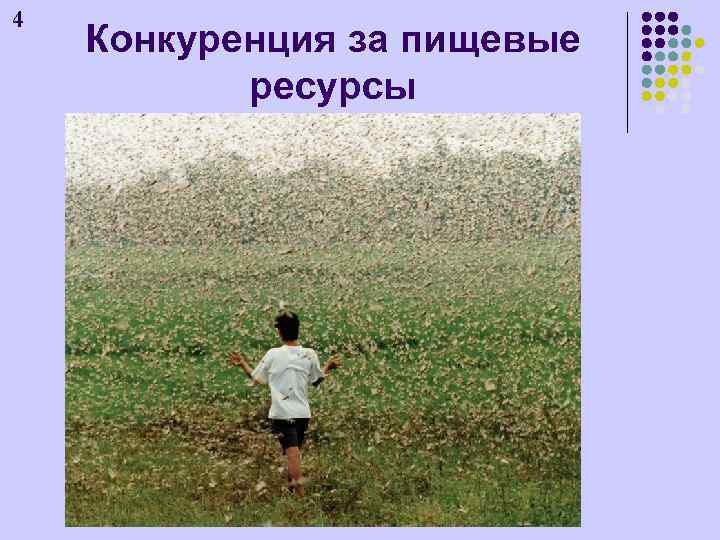 4 Конкуренция за пищевые ресурсы 