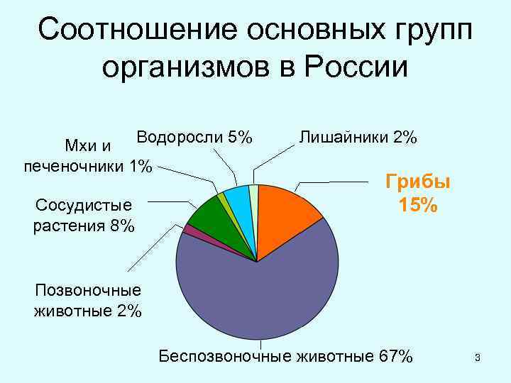 Соотношение основных групп организмов в России Мхи и Водоросли 5% печеночники 1% Сосудистые растения