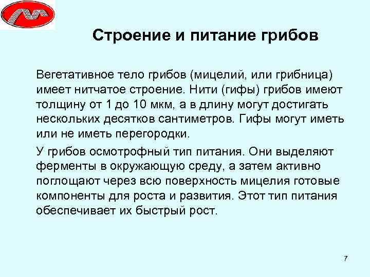 Строение и питание грибов Вегетативное тело грибов (мицелий, или грибница) имеет нитчатое строение. Нити